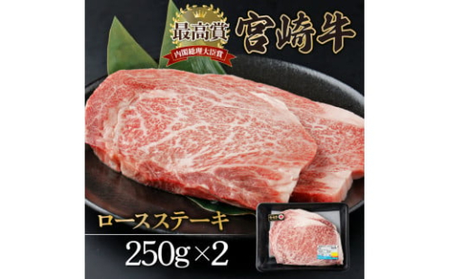 KU309 宮崎牛ロースステーキセット 計500g (250g×2) 295457 - 宮崎県串間市