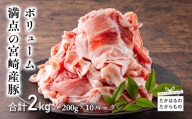 宮崎産豚肉の切り落とし（2kg）料理に使いやすい小分け真空パック10袋をお届け! 一人暮らしに最適 [国産 お肉]