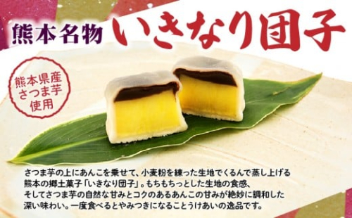 48 聖商 熊本名物 いきなり団子 黒あん個 熊本県宇土市 Au Pay ふるさと納税 48 聖商 熊本名物 いきなり団子 黒あん個 熊本県宇土市 Au Pay ふるさと納税