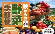 【定期便】季節の野菜 2022年秋からの定期便【01053】