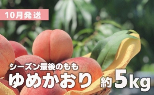 No.1755株式会社円和 青果部 【全2回】秋からの果物定期便(ゆめかおり5kgサンふじ3kg)【2022年発送】 297363 - 福島県福島市