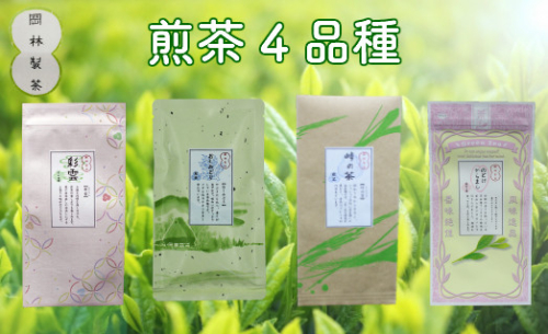 煎茶４品種セット　佐川町 緑茶 煎茶 4種4袋 茶葉 2975 - 高知県佐川町