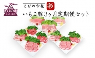 【定期便3ヶ月】えびの市発(彩) いもこ豚 バラエティセット 鍋  鉄板焼