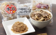 鳥取県産ハンバーグ2種&牛丼セット