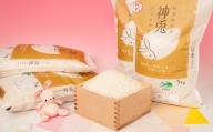 特別栽培米コシヒカリ20kg
