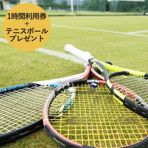 【関西唯一】天然芝テニスコート（1時間）利用券＋テニスボールプレゼント 29850 - 兵庫県加西市