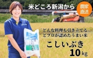 プロが認めたうまい米『こしいぶき』10㎏ 新潟県糸魚川産 農家直送 おいしいお米をお届けします 令和5年産 【お米 こめ おすすめ】