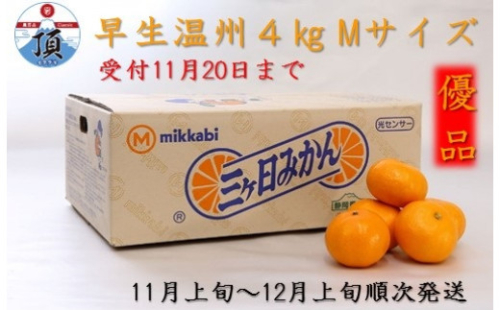 010015 三ヶ日みかん(早生温州) 4kg【11月上旬から12月上旬順次発送】 298773 - 静岡県静岡県庁