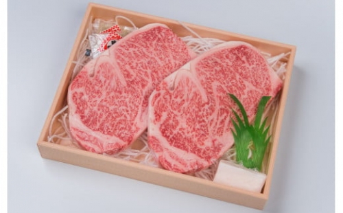  【5回定期便】焼肉おがわ　長崎和牛A5ランク　サーロインステーキ2枚　400ｇ入（全5回　合計2kg）