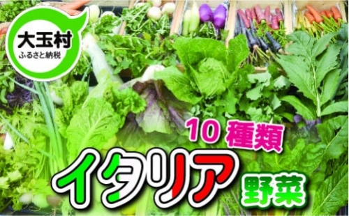 イタリア野菜セット(10種類)【01056】 299368 - 福島県大玉村