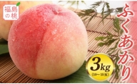 ≪先行予約≫福島の桃 ふくあかり 3kg（10～15玉）F20C-553