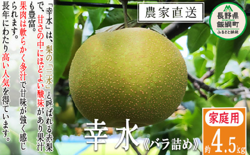 梨 幸水 家庭用 4.5kg ( バラ詰め ) 松澤農園 配送先は本州限定 2025年8月下旬頃から2025年9月上旬頃まで順次発送予定 令和7年度収穫分 長野県 飯綱町 [1329]