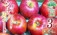 りんご シナノスイート 秀〜特秀 3kg 松澤農園 沖縄および離島への配送不可 2026年10月下旬頃から2026年11月中旬頃まで順次発送予定 令和8年度収穫分 長野県 飯綱町 [1333]