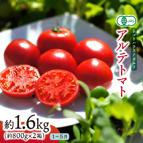 【2026年1月～5月頃発送】＜アルテトマト 約1.6kg（20-35玉） ＞ フルーツトマト トマトハウスナカムラ 栽培期間中化学農薬・化学肥料不使用 3006 - 高知県佐川町