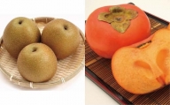 富有柿と王秋梨セット 4kg