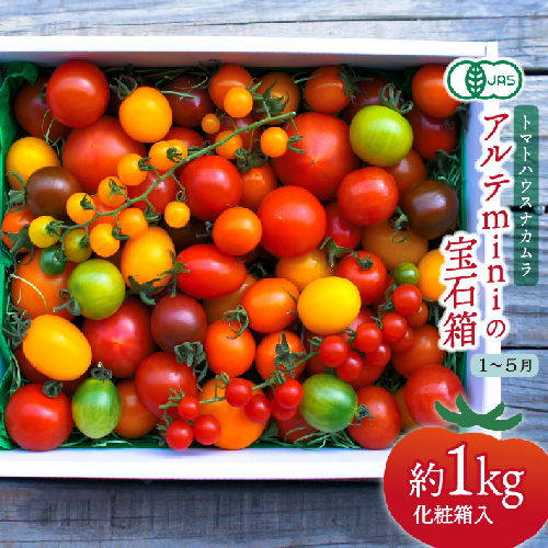 【2026年1月～5月頃発送】＜アルテminiの宝石箱 約1kg×1箱＞フルーツトマト 栽培期間中化学農薬・化学肥料不使用 トマトハウスナカムラ 3007 - 高知県佐川町