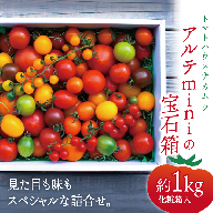 とっても甘く濃厚な味のミニトマトのカラフルな詰め合わせ![アルテminiの宝石箱 約1kg×1箱]フルーツトマト トマトハウスナカムラ[常温]栽培期間中化学農薬・化学肥料不使用