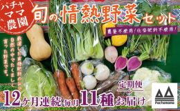 食べごろの旬のお野菜を発送当日に土付き又は軽く洗い発送します。スタンダードのお野菜やスーパーなどであまり見かけないお野菜などを組み合わせでのセットで、簡単な調理法、野菜の特長などの案内も添えています。