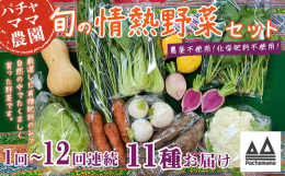 食べごろの旬のお野菜を発送当日に土付き又は軽く洗い発送します。スタンダードのお野菜やスーパーなどであまり見かけないお野菜などを組み合わせでのセットで、簡単な調理法、野菜の特長などの案内も添えています。