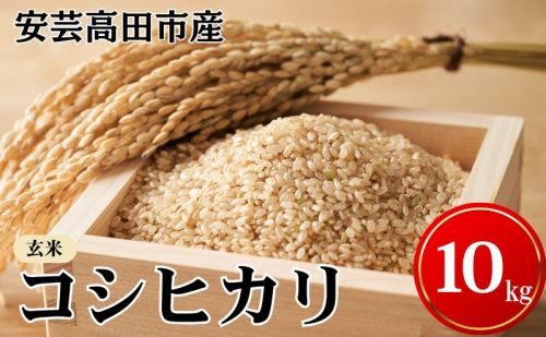 安芸高田市産 令和7年度産 コシヒカリ『玄米』 10kg (5kg×2袋) お米  30083 - 広島県安芸高田市
