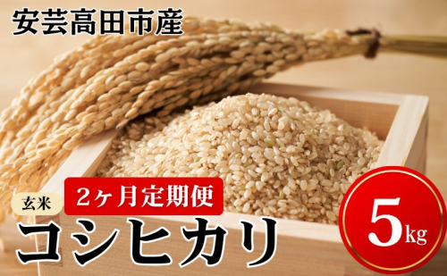 米 【2ヶ月お届け】令和7年産　安芸高田市産コシヒカリ『玄米』5kg お米 定期便  30085 - 広島県安芸高田市