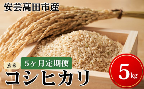 米 【5ヶ月お届け】令和7年産　安芸高田市産コシヒカリ『玄米』5kg お米 定期便  30087 - 広島県安芸高田市