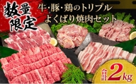 C73-21 ≪数量限定≫牛・豚・鶏のトリプルよくばり焼肉セット(合計2kg)　肉　牛肉　豚肉　鶏肉