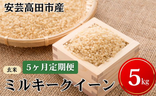米 【5ヶ月お届け】令和7年産　安芸高田市産ミルキークイーン『玄米』5kg お米 定期便  30093 - 広島県安芸高田市