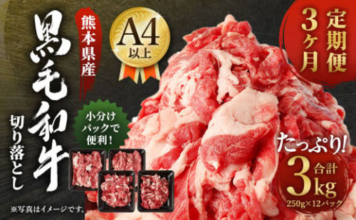 【3ヶ月定期便】熊本県産黒毛和牛A4以上 切り落とし 1kg 合計3kg 300958 - 熊本県菊陽町