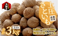 清川村特産 きよかわ自然薯800(約800g)本数おまかせ【1326822】 430358