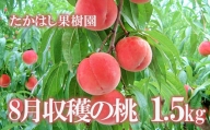 No.1905【先行予約】たかはし果樹園の桃　8月収穫約1.5kg【2024年発送】