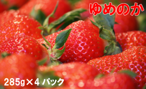 ゆめのか　285g×4パック【期間・数量限定】＜2025年1月下旬～3月下旬頃発送予定＞ 3012 - 高知県佐川町