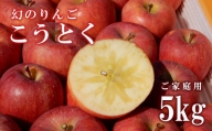 No.1967株式会社ABE Fruit　りんご「こうとく」家庭用5kg【2022年度発送】