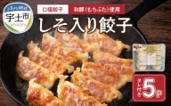 119-2 口福餃子「和（もち）豚」使用　しそ入り餃子（冷凍生）
