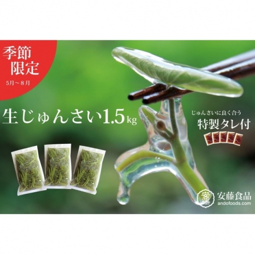 【数量限定!秋田県三種町産】生じゅんさい1.5kg(500g×3袋)特製ゆずタレ付き