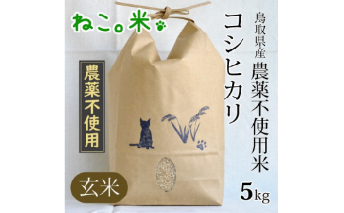 農薬不使用米 コシヒカリ 玄米（５ｋｇ）