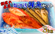 【価格改定予定】天然 旬の鮮魚セット 3kg 鮮魚ボックス 程度 沼津港 朝獲れ直送