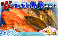 【価格改定予定】天然 旬の鮮魚セット 4kg 鮮魚ボックス 程度 沼津港 朝獲れ直送
