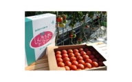 感動のフルーツトマト「深層水トマト」3キロ【1290573】