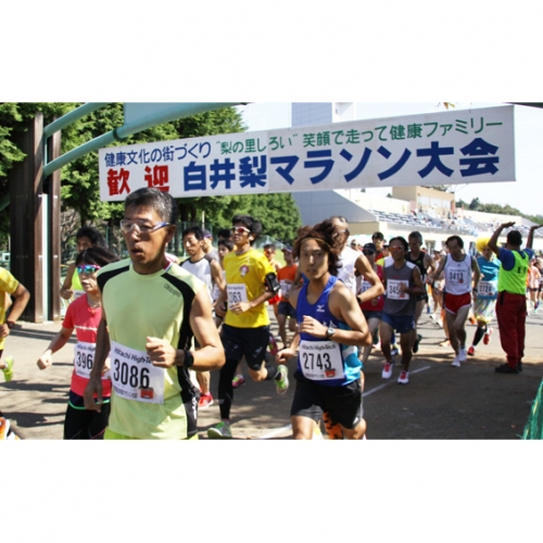 白井梨マラソン大会 一般男女 出走権(参加費込)