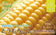 【先行予約】北海道七飯町産とうもろこし「ゴールドラッシュ」10本セット  (8月から順次発送)※ご好評につきなくなり次第終了となります