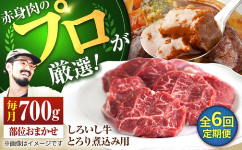 【牧場直送】【6回定期便】佐賀県産 しろいし牛 とろり 煮込み用 700g【有限会社佐賀セントラル牧場】 肉 お肉 牛肉 カレー シチュー スネ ネック 佐賀  [IAH140]
