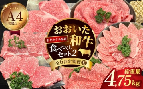 【定期便E】ホテルクオリティ　おおいた和牛 食べつくしセット2（６回）