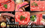 【定期便E】ホテルクオリティ　おおいた和牛 食べつくしセット2（６回）