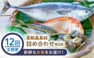 【全12回定期便】壱岐産食材詰め合わせBOX「魚」 [JBF023] 240000 240000円 24万円