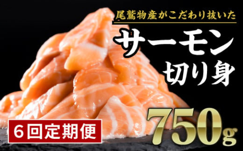 【定期便６回】】生食用 サーモン 切り落とし 750g (150g ×5パック) 小分け 鮭 サーモン アトランティックサーモン 国際規格SQF2000 さけ シャケ しゃけ sake カルパッチョ ソテー レアステーキ 人気 高級 大満足 生食用 刺身 お刺身 刺し身 魚介類 海鮮 冷凍 厚切り 薄切り ふるさと納税 ふるさとチョイス 三重県 尾鷲市 OB-27