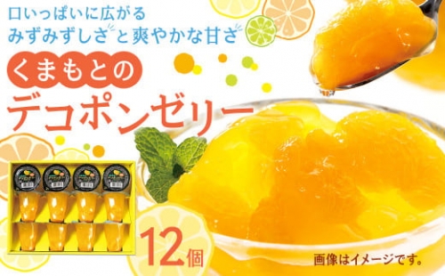 くまもとのデコポンゼリー 130g×12個 デコポン ゼリー 果物 柑橘 フルーツ 304752 - 熊本県水俣市