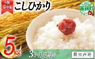 [1405]【令和6年度収穫分】信州産 コシヒカリ（白米） 5kg×3回 【3カ月定期便】 ※沖縄および離島への配送不可　※2024年11月上旬頃から順次発送予定　ヤマハチ農園　長野県飯綱町