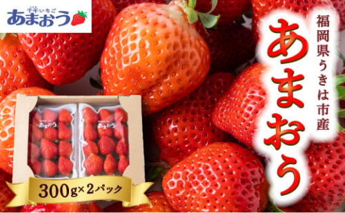 千年いちご あまおうイチゴ (300g×2パック) 2024年12月中旬から12月下旬 出荷予定 