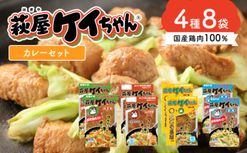 萩屋ケイちゃんスタンダードカレーセット　みそ味・カレー味・しょうゆ味・しお味（各230g×2）計8パック 冷凍配送 けいちゃん 鶏ちゃん 萩原チキンセンター けーちゃん ケーちゃん